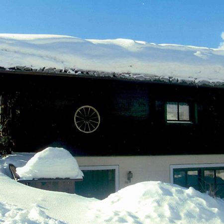 Chalet In Leogang Salzburg With Garden Vila Exterior foto